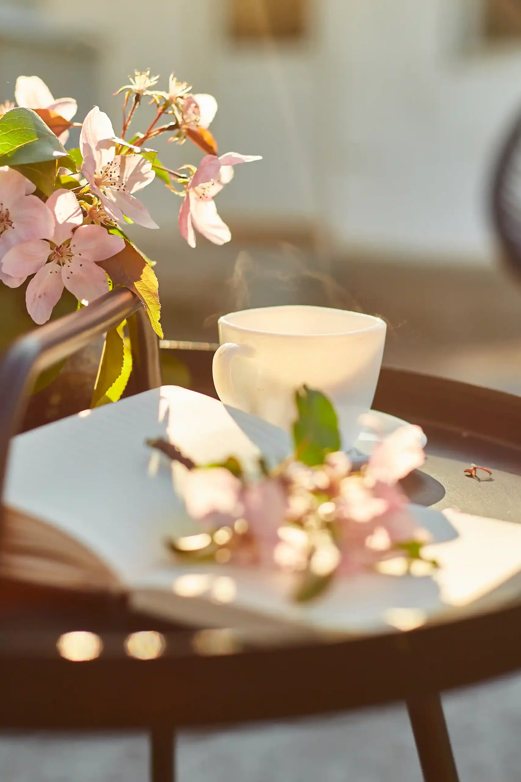 Cup of coffee with cherry tree flowers around it
